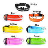 LED Dog Collar