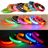 LED Dog Collar