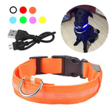 LED Dog Collar