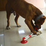 Suction Cup Tug Toy