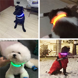 LED Dog Collar