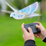 RC Bird