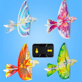 RC Bird