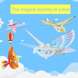 RC Bird