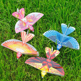 RC Bird