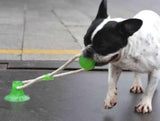 Suction Cup Tug Toy