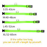 LED Dog Collar